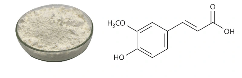 Ferulic Acid Powder.jpg